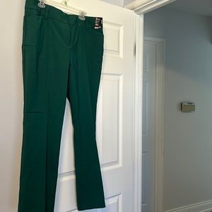 Forest Green New York & Company barley boot cut pants moderate Fit